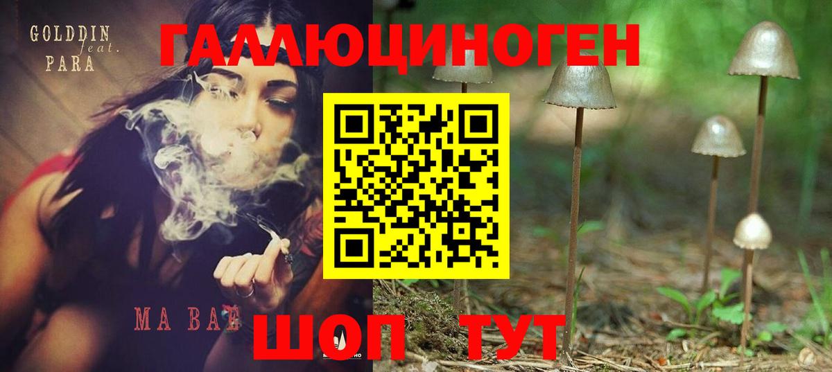 Новосибирск  Галлюциногенные грибы Cubensis  Вход с VPN 